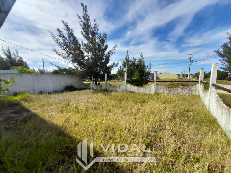Palmares do Sul