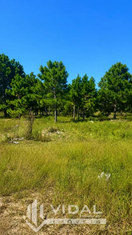 Tramandaí