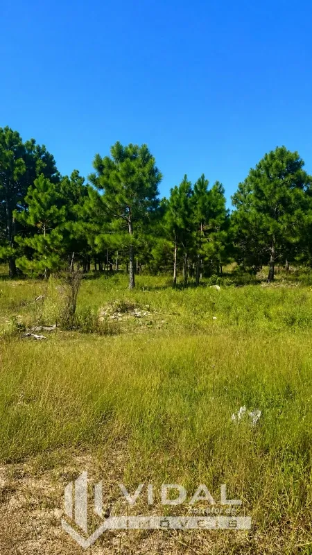 Tramandaí