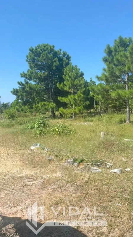 Tramandaí